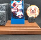 Lab Dice – Gemini – Red-White/Blue – Chessex #30022