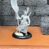 Swordsman Male - Ashmen 4 (Bannerman)