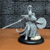 Swordsman Male - Ashmen Hakar 1