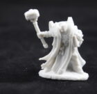 Crusader Ardent Paladin/Cleric