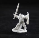 Crusader Champion Paladin Male