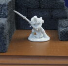 Crusader Justifier Paladin Male