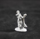 Goblin Shaman Priestess Female