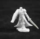 Holy Vindicator Paladin Male