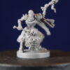 Necromancer and his Undead Minions