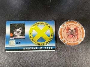 Skin Student ID Card #XID-014